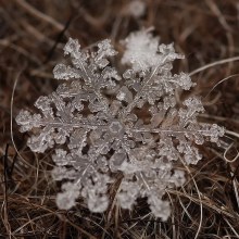 สุดยอดภาพมาโคร Snowflakes เกล็ดหิมะ คมชัดสวยงามสุดๆ