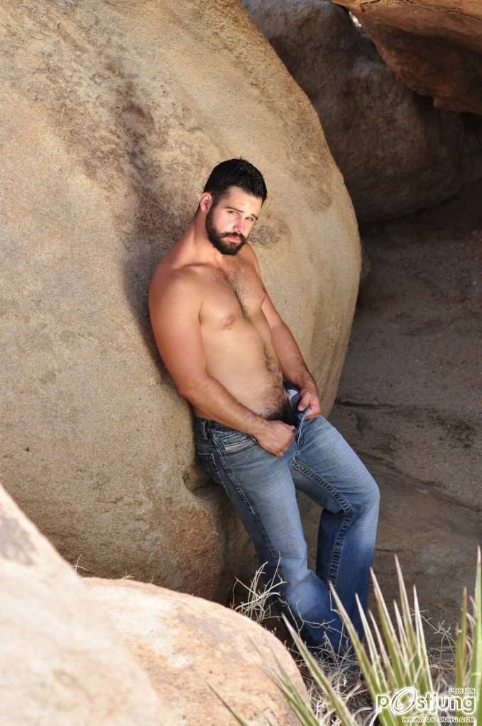 หมีๆชอบๆ