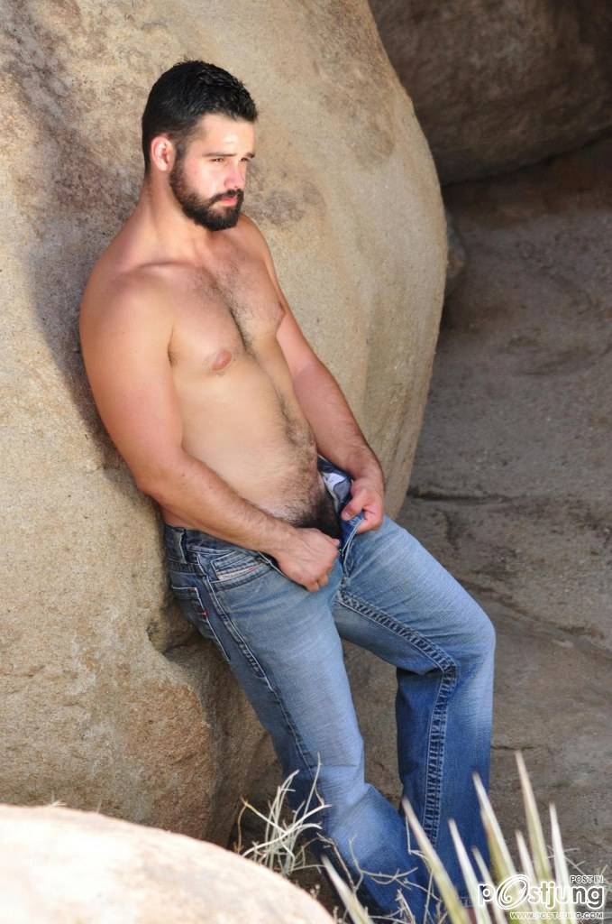 หมีๆชอบๆ