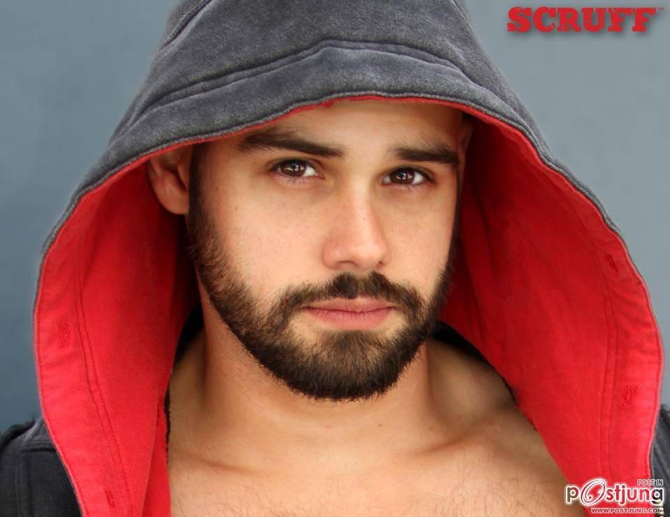 หมีๆชอบๆ