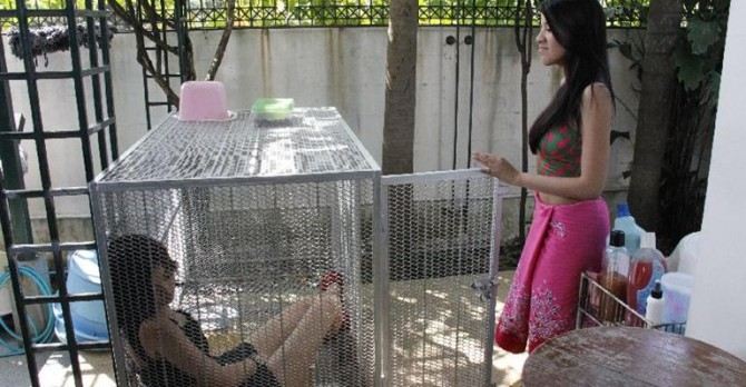 'ใบเตย'โดน'มด'ตบจับยัดกรงหมา