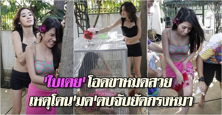 'ใบเตย'โดน'มด'ตบจับยัดกรงหมา