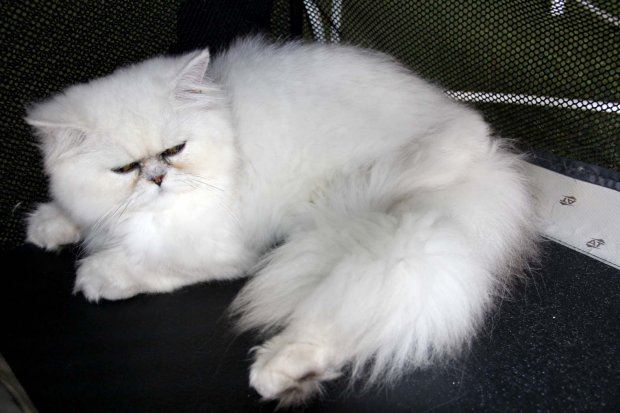 น้องเจเล่ มิสทิฟฟานี่ สวยงามมากๆ