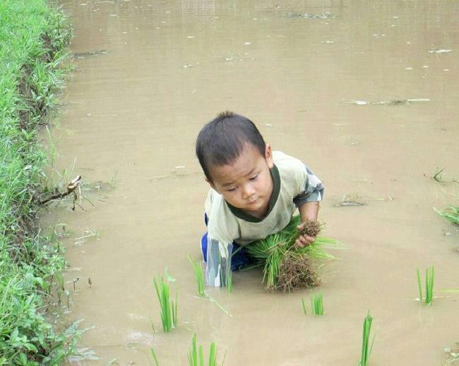 สันหลังของชาติ ดูภาพนี้แล้วทานข้าวให้หมดนะครับ