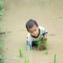 สันหลังของชาติ ดูภาพนี้แล้วทานข้าวให้หมดนะครับ