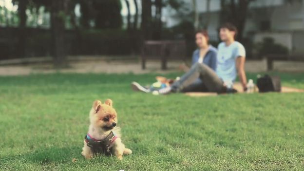 หลากหลายสไตล์ ทรงผมปอมปอม น่าลั๊คอ่ะ