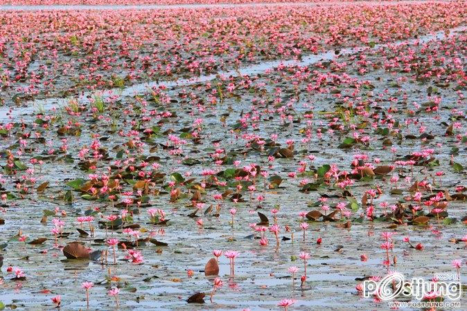 วังบัวแดง จ.หนองคาย