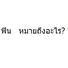 ฟิน หมายถึงอะไร ?? มันมาจากใหน ทำไมเพิ่งได้ยิน