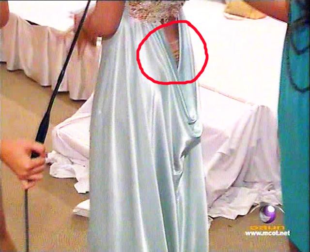 ใบเตย แจง ขอโทษ ความเข้าใจคลาดเคลื่อนเรื่องกรณีทูตวัฒนธรรม