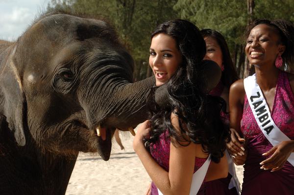 Miss Venezuela ผู้มาเยือนประเทศไทยในปี 2005