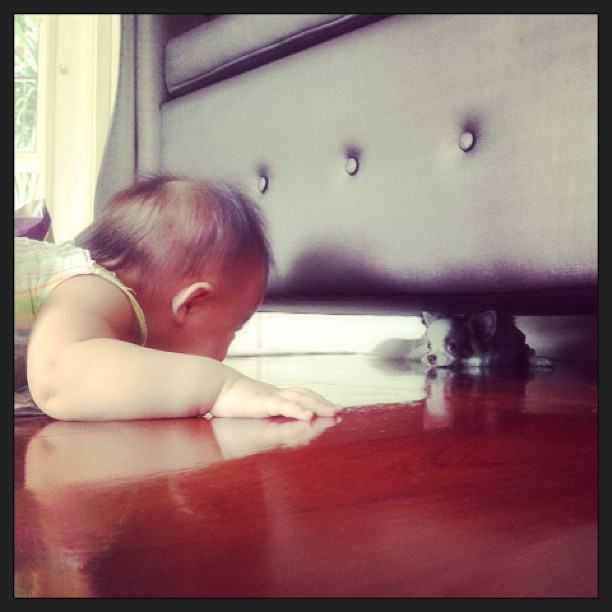 น้องวันใหม่ สมาชิกใหม่บ้าน บอย ปกรณ์