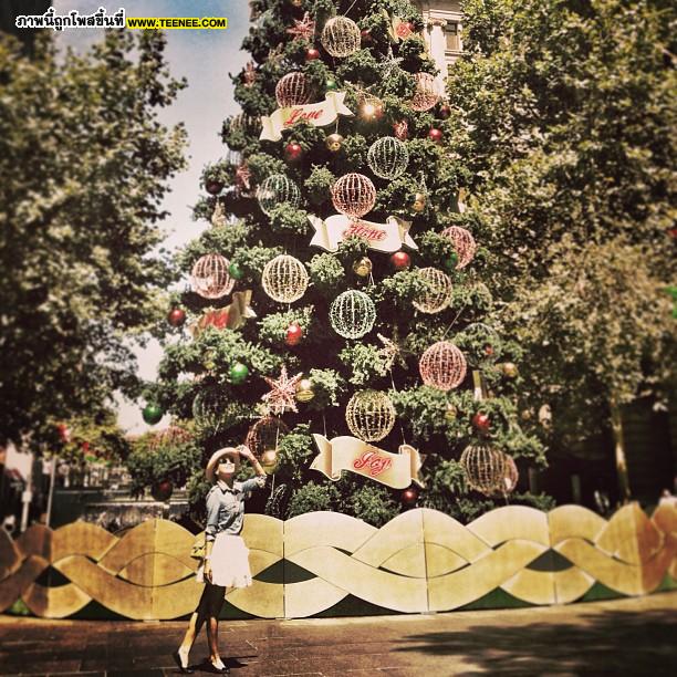 Pic : ตาม "กาละแมร์" รับ Summer@Sydney