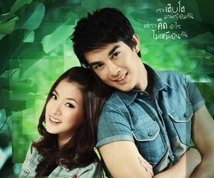 ลูกไม้หลากสี ละครน้ำดีเรื่องนึง