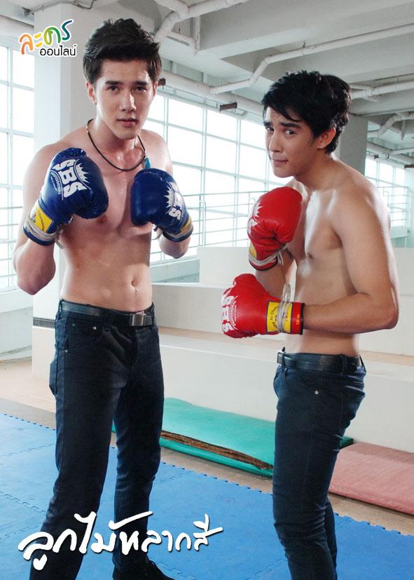 ลูกไม้หลากสี