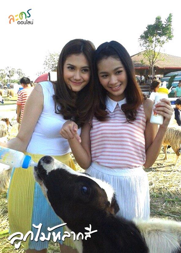 ลูกไม้หลากสี