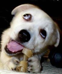 เเซ่บบบบส์ทุกหัว