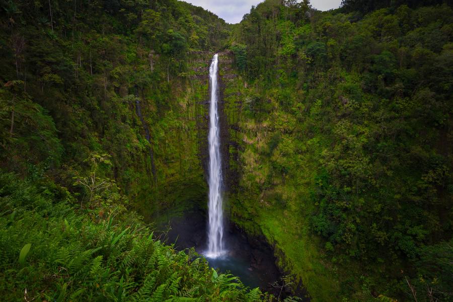 เกาะฮาวาย สวยงามตระการตา เห็นเเล้วอยากไปเยือน