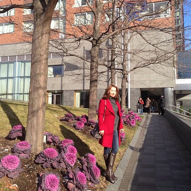 เจ้าหญิงแห่งวงการ " แอน ทองประสม "