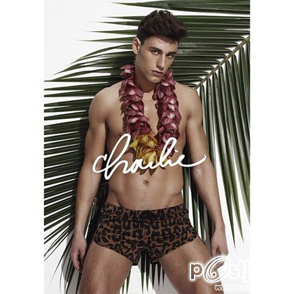 Charlie by Matthew Zink : Summer 2013