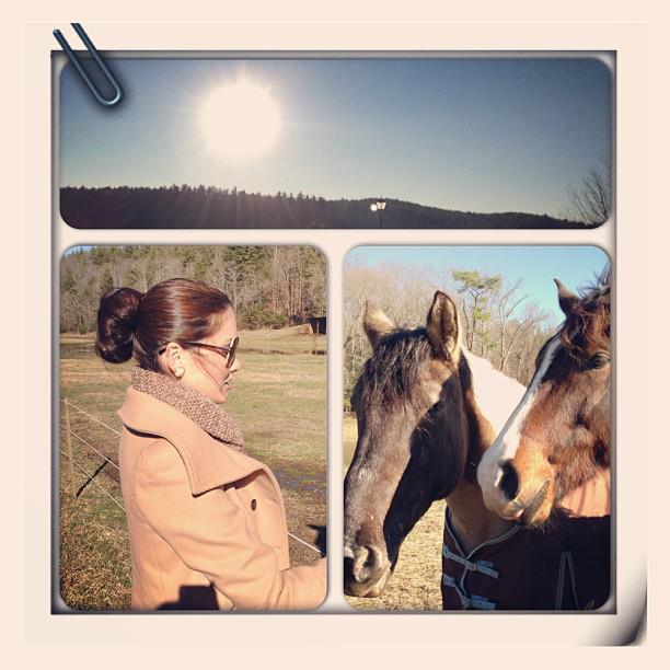 ประเมินศักยภาพ Miss Venezuela Universe 2013 อย่างไรกันบ้าง