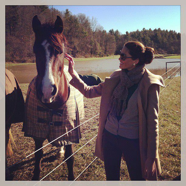 ประเมินศักยภาพ Miss Venezuela Universe 2013 อย่างไรกันบ้าง