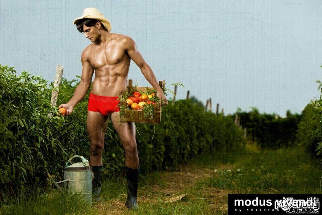 Modus Vivendi : Farmer : HQ images