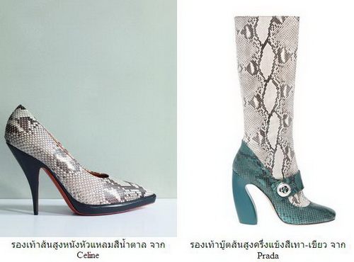 แฟชั่น งูๆ ใส่ได้ ตลอดปี ไม่มีเชย