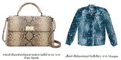 แฟชั่น งูๆ ใส่ได้ ตลอดปี ไม่มีเชย