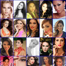 ผู้เข้าประกวด Miss Venezuela World 2013