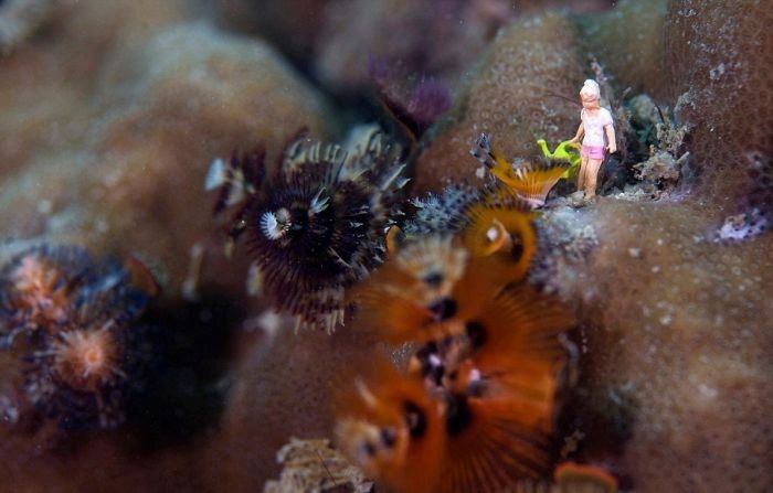 มนุษย์ในโลกใต้น้ำ ภาพถ่ายเหนือจริง เเนวคิดเจ๋งดี