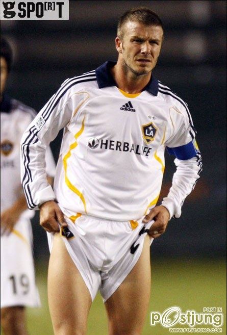 ห่อหมกพ่แบค