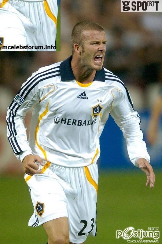 ห่อหมกพ่แบค