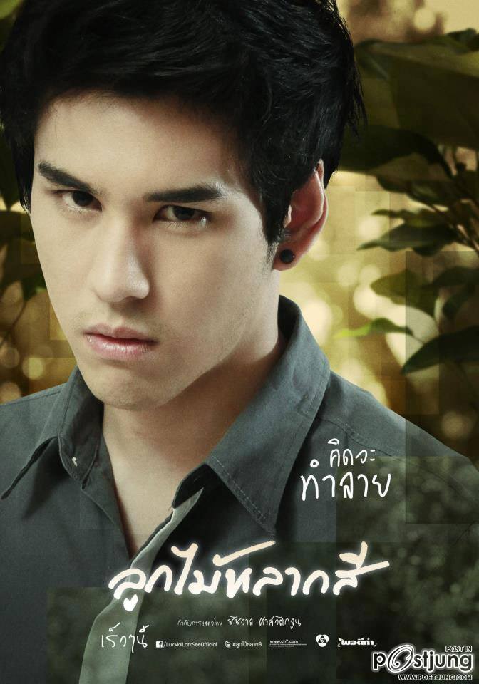 ลูกหมาก เอ้ย ลูกไม้ๆหลากสี