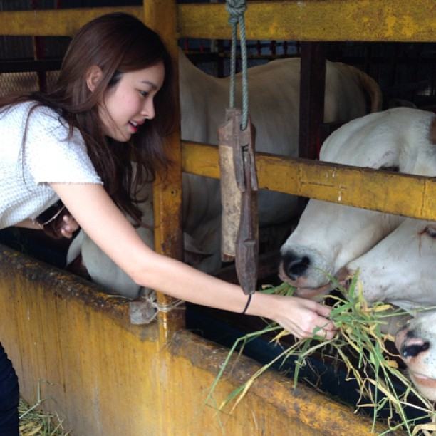 ปอย ตรีชฎา @ instagram Only