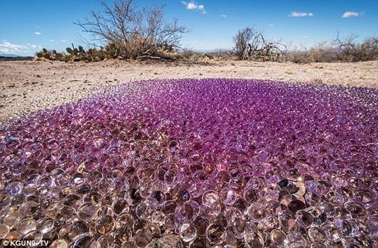 พบวัตถุปริศนาทรงกลมสีม่วงใสนับพัน โผล่กลางทะเลทรายในรัฐแอริโซนา