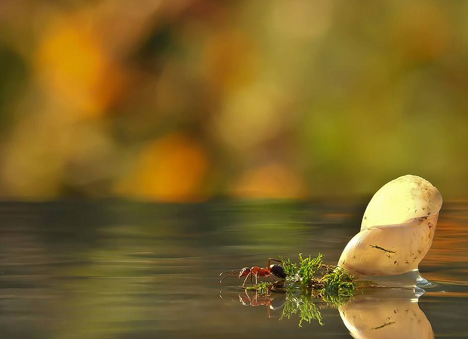 ธรรมชาติเเสนสวย ถ่ายให้เห็นกันใกล้ๆ ชัดทุกมุมมอง