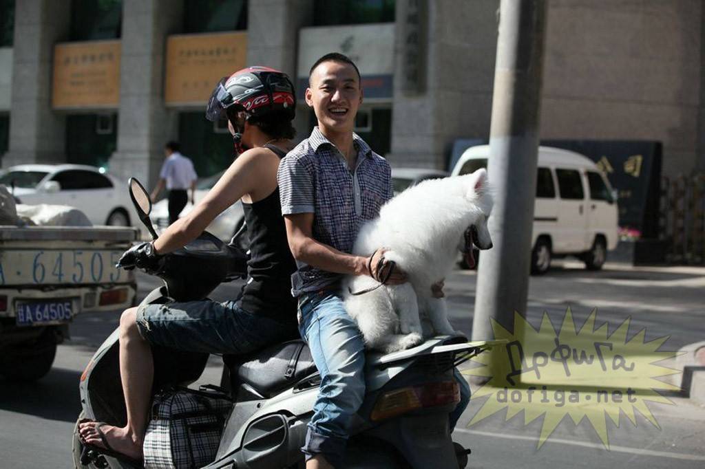 ภาพการใช้ชีวิตแบบเสี่ยงๆ ไม่มีลิมิตชีวิตเกินร้อย