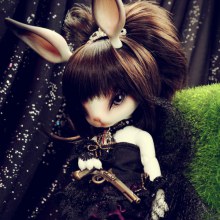 The Rabbit MILADY ต่ายน้อยนักสู้