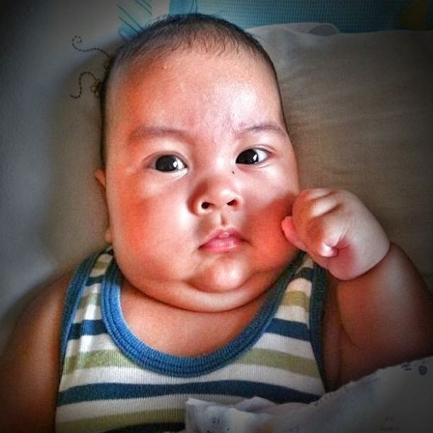 น้องแจสเปอร์ ลูกชาย แมว จีระศักดิ์ จ้ำม่ำน่ารักเชียว