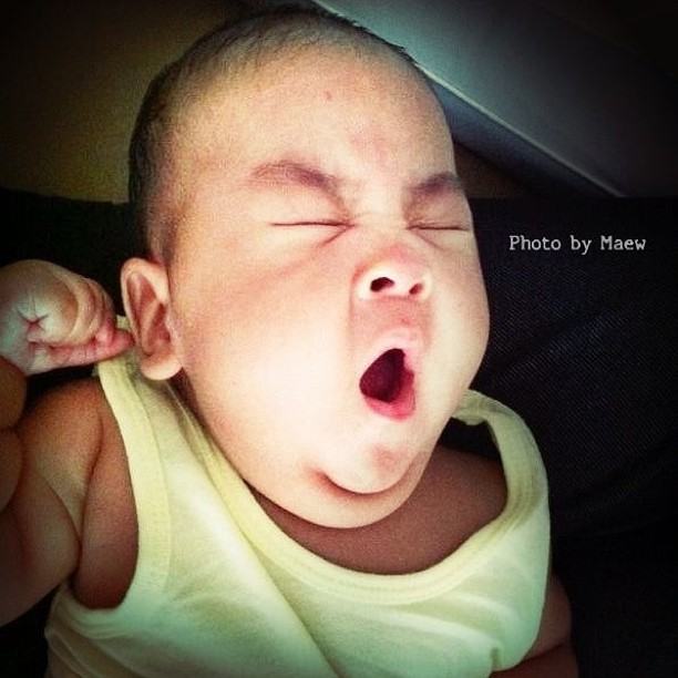 น้องแจสเปอร์ ลูกชาย แมว จีระศักดิ์ จ้ำม่ำน่ารักเชียว