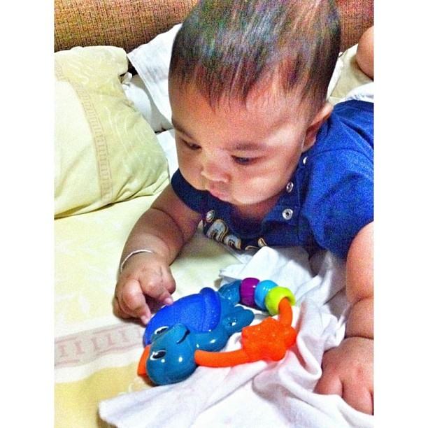 น้องแจสเปอร์ ลูกชาย แมว จีระศักดิ์ จ้ำม่ำน่ารักเชียว