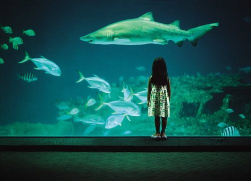 มองให้อาร์ท 59