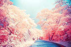 มองให้อาร์ท 60