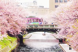 มองให้อาร์ท 60