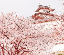 มองให้อาร์ท 60