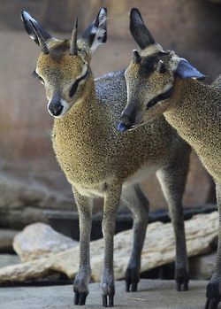 มองให้อาร์ท 61