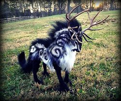 มองให้อาร์ท 61