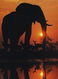 มองให้อาร์ท 61