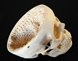 มองให้อาร์ท 61