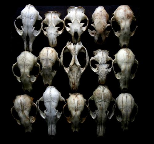 มองให้อาร์ท 61